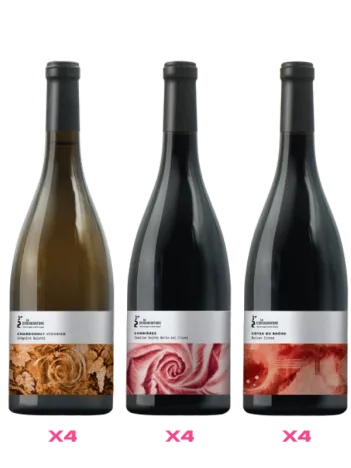 Verre à Vin Consignature Caisse Decouverte Consignature N°2