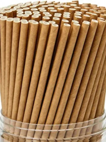 Paille Biodégradable Soyez